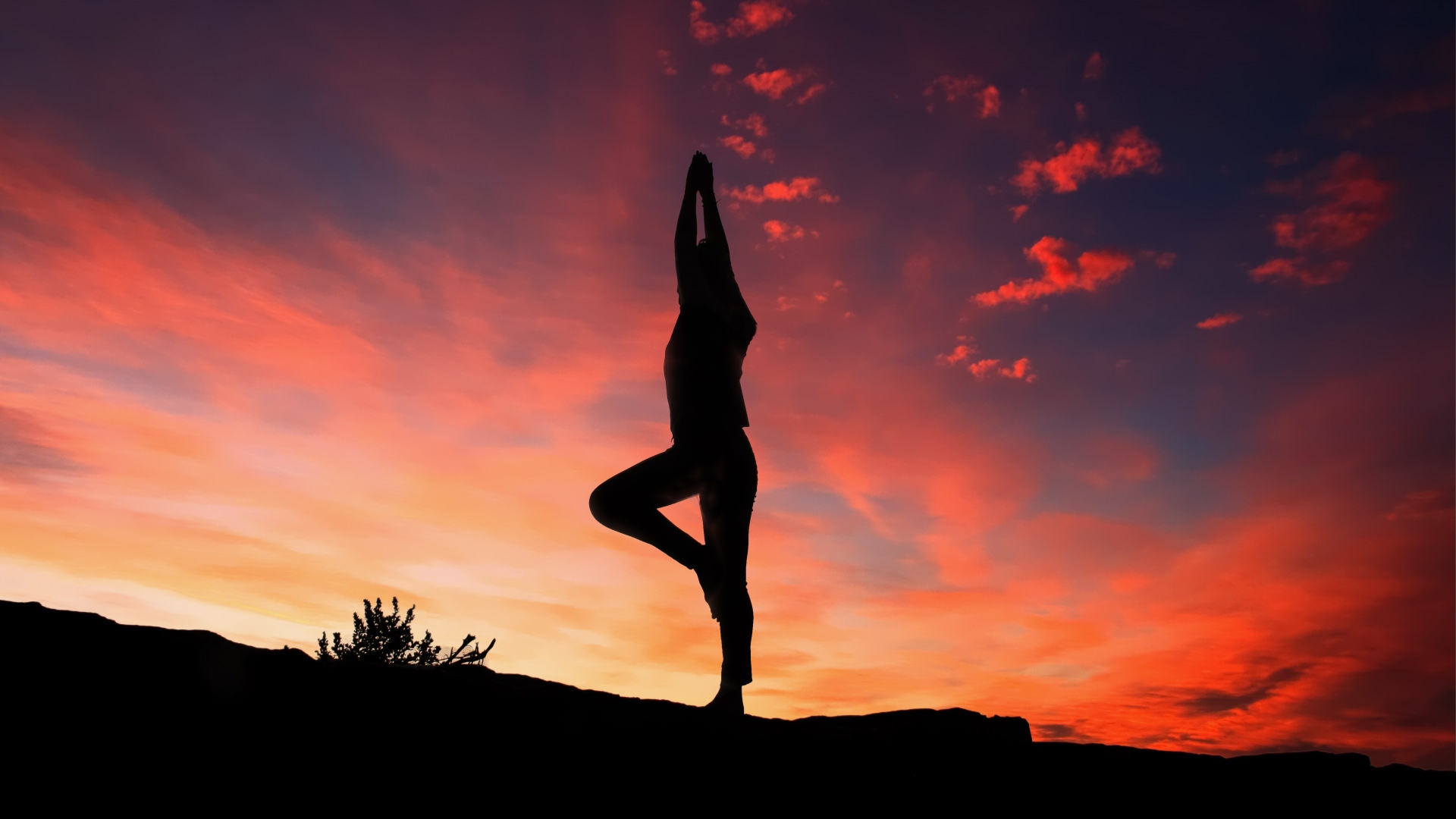 Este fin de semana llega Ritvales Raiz y desde las 9 am tendrá agenda Wellness